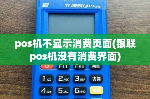 pos机不显示消费页面(银联pos机没有消费界面)