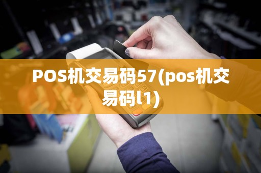 POS机交易码57(pos机交易码l1)