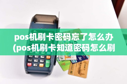 pos机刷卡密码忘了怎么办(pos机刷卡知道密码怎么刷)