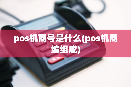 pos机商号是什么(pos机商编组成)  第1张