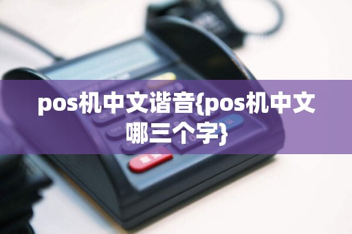 pos机中文谐音{pos机中文哪三个字}  第1张