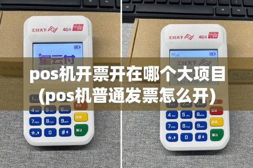 pos机开票开在哪个大项目(pos机普通发票怎么开)