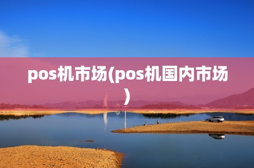 pos机市场(pos机国内市场)