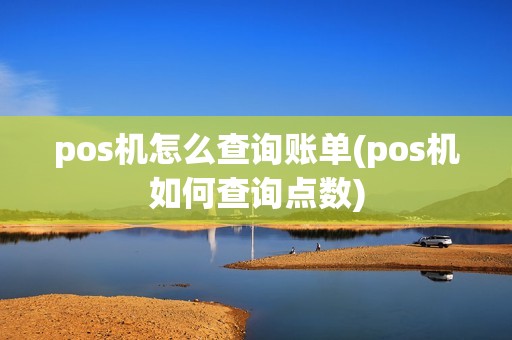 pos机怎么查询账单(pos机如何查询点数)