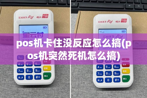 pos机卡住没反应怎么搞(pos机突然死机怎么搞)