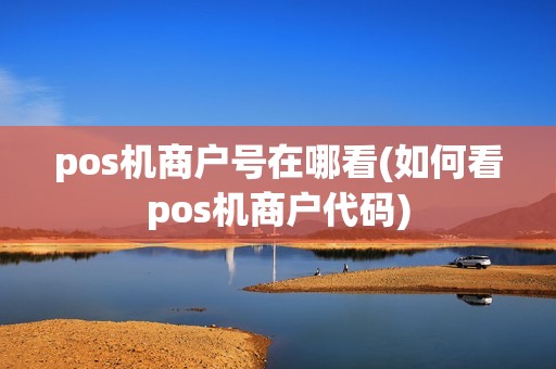 pos机商户号在哪看(如何看pos机商户代码)