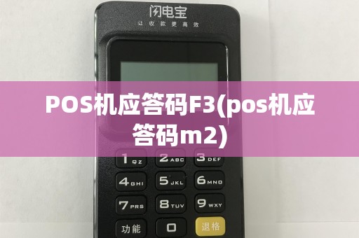 POS机应答码F3(pos机应答码m2)  第1张
