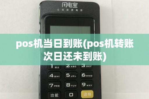 pos机当日到账(pos机转账次日还未到账)  第1张