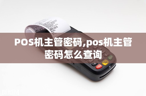 POS机主管密码,pos机主管密码怎么查询