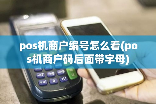 pos机商户编号怎么看(pos机商户码后面带字母)