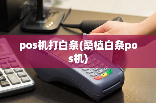 pos机打白条(桑植白条pos机)