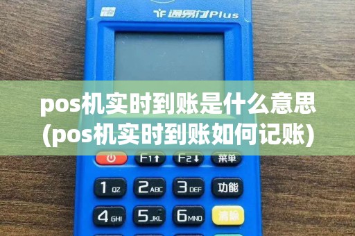 pos机实时到账是什么意思(pos机实时到账如何记账)  第1张