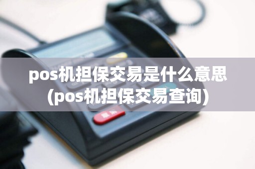 pos机担保交易是什么意思(pos机担保交易查询)