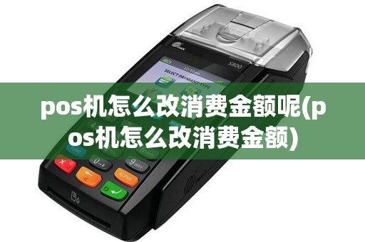 pos机怎么改消费金额呢(pos机怎么改消费金额)