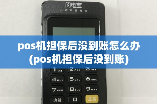 pos机担保后没到账怎么办(pos机担保后没到账)