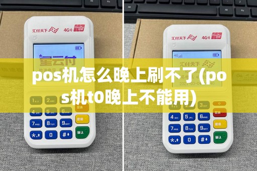 pos机怎么晚上刷不了(pos机t0晚上不能用)