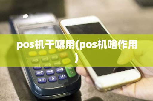 pos机干嘛用(pos机啥作用)  第1张