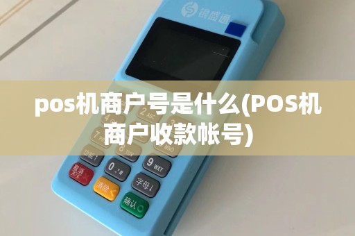 pos机商户号是什么(POS机商户收款帐号)
