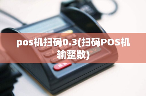 pos机扫码0.3(扫码POS机输整数)