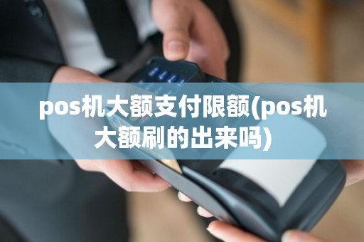 pos机大额支付限额(pos机大额刷的出来吗)