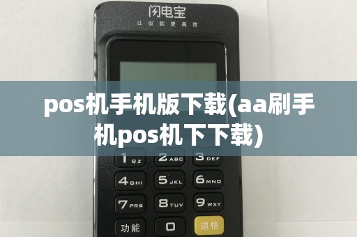 pos机手机版下载(aa刷手机pos机下下载)