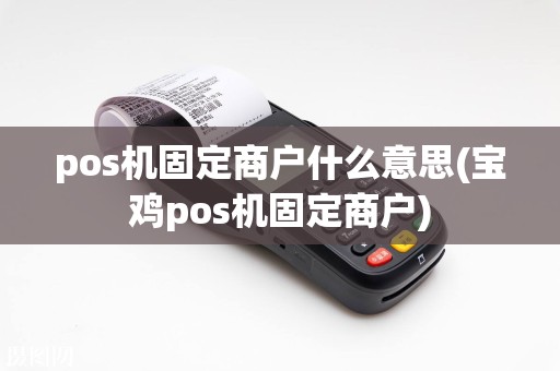 pos机固定商户什么意思(宝鸡pos机固定商户)