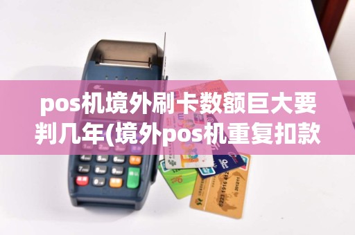 pos机境外刷卡数额巨大要判几年(境外pos机重复扣款)