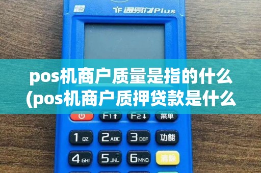 pos机商户质量是指的什么(pos机商户质押贷款是什么)  第1张