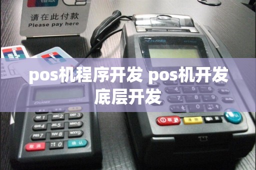 pos机程序开发 pos机开发底层开发