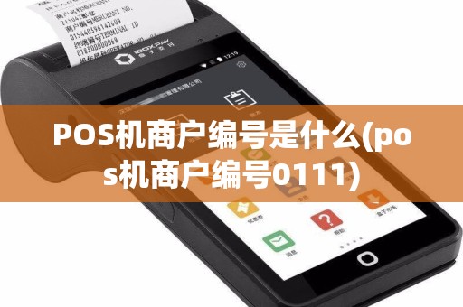 POS机商户编号是什么(pos机商户编号0111)