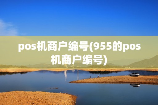 pos机商户编号(955的pos机商户编号)
