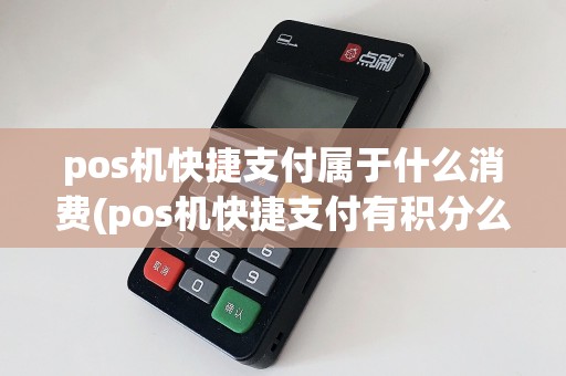 pos机快捷支付属于什么消费(pos机快捷支付有积分么)