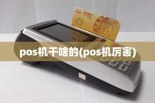 pos机干啥的(pos机厉害)