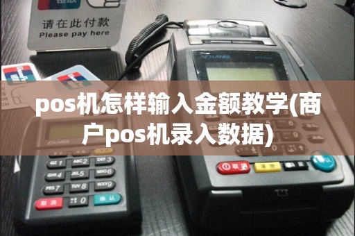 pos机怎样输入金额教学(商户pos机录入数据)