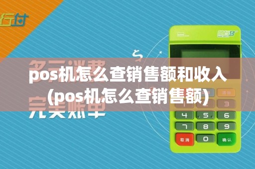 pos机怎么查销售额和收入(pos机怎么查销售额)  第1张