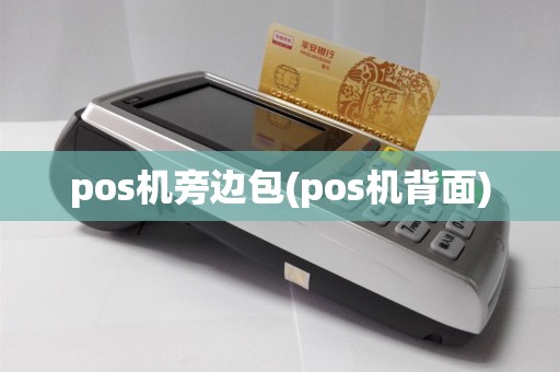 pos机旁边包(pos机背面)  第1张
