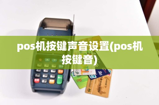pos机按键声音设置(pos机按键音)