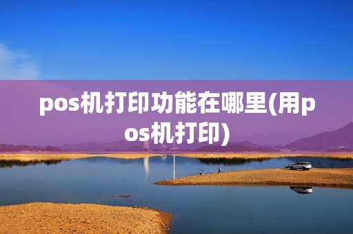 pos机打印功能在哪里(用pos机打印)  第1张