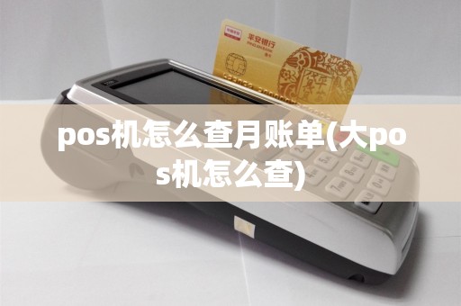 pos机怎么查月账单(大pos机怎么查)