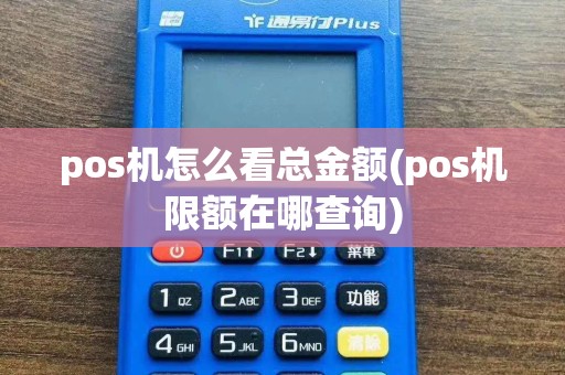 pos机怎么看总金额(pos机限额在哪查询)