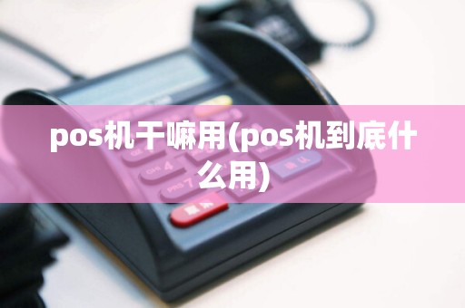 pos机干嘛用(pos机到底什么用)