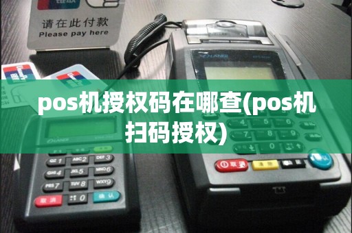 pos机授权码在哪查(pos机扫码授权)