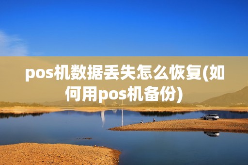 pos机数据丢失怎么恢复(如何用pos机备份)