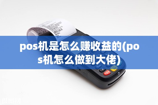 pos机是怎么赚收益的(pos机怎么做到大佬)