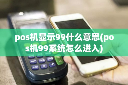 pos机显示99什么意思(pos机99系统怎么进入)