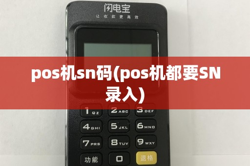 pos机sn码(pos机都要SN录入)