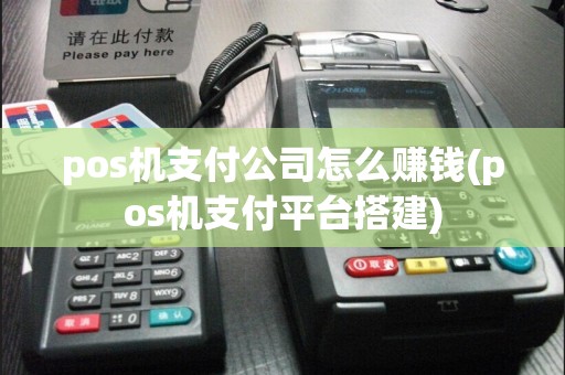 pos机支付公司怎么赚钱(pos机支付平台搭建)