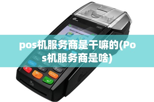 pos机服务商是干嘛的(Pos机服务商是啥)
