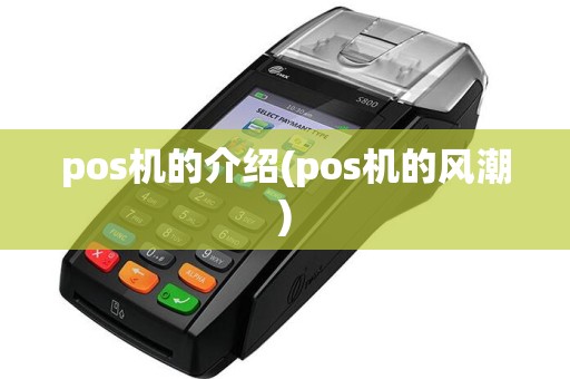 pos机的介绍(pos机的风潮)