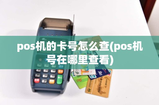 pos机的卡号怎么查(pos机号在哪里查看)  第1张